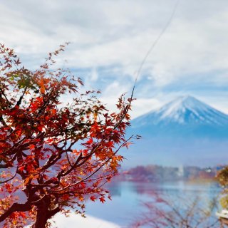 欣赏富士山的最佳酒店...