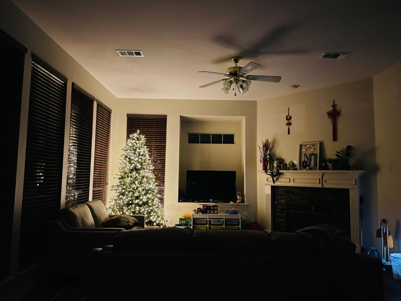 Costco的🎄圣诞树yyds！...