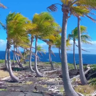 夏威夷大岛火山公园🌋高效打卡路线推荐...