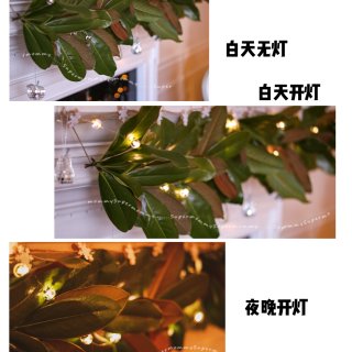 🎄圣诞DIY#6⃣️/会发光的玉兰花叶装...