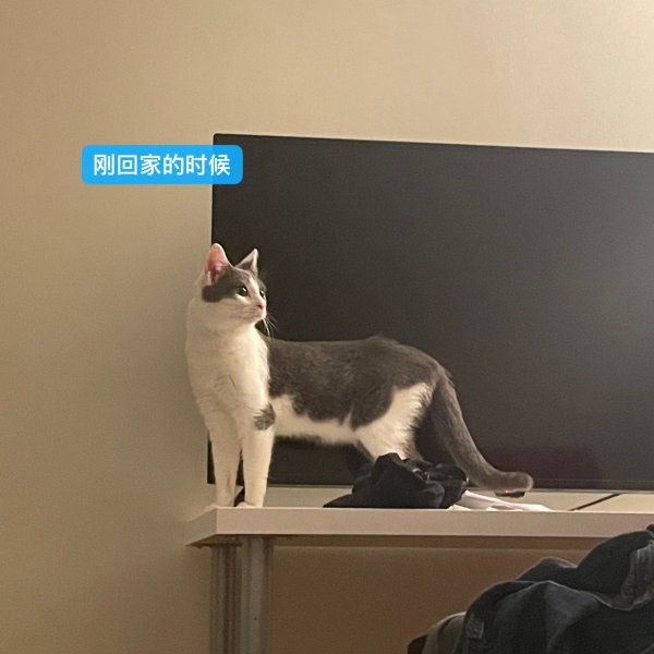 晒货图片
