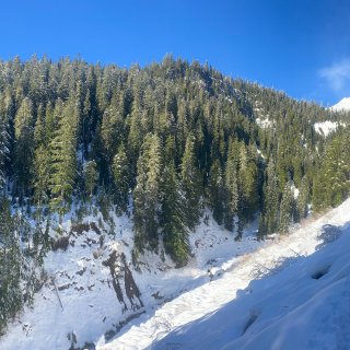 西雅图冬季hiking超美trail推荐...