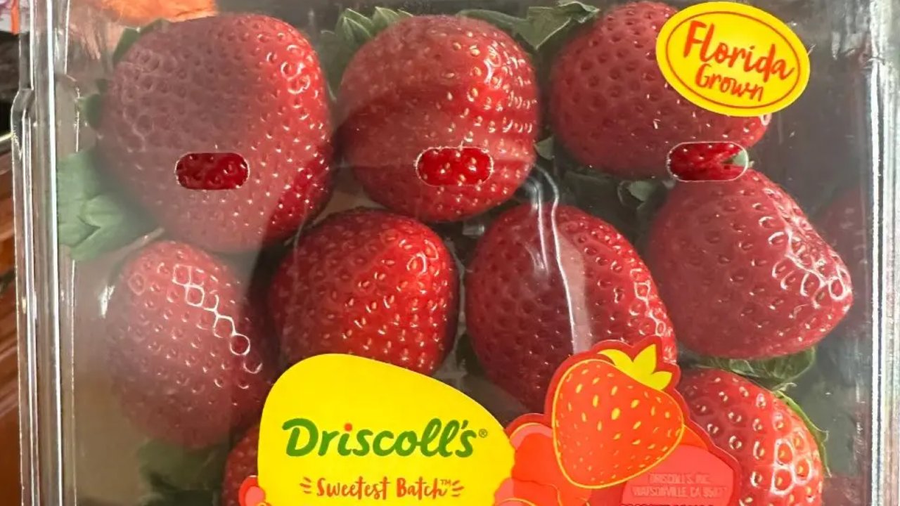 冬日里还能吃到的甜草莓