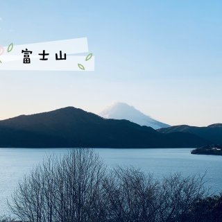 2019旅行盘点 | 箱根是我心头的白月...