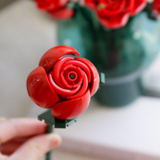 三月，送你一束永不凋零的玫瑰🌹...