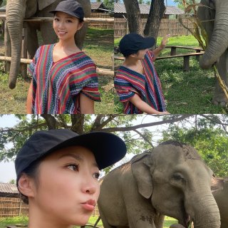 泰国旅行-必须体验真正的和大象亲密接触，...
