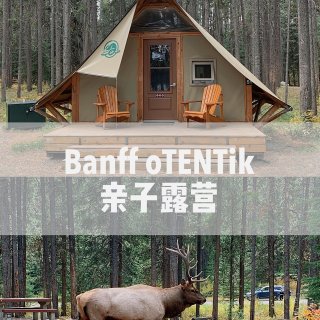 oTENTik亲子露营🏕️近距离邂逅麋鹿...