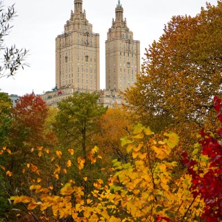 中央公园的秋色🍂和阴天☁️更配...