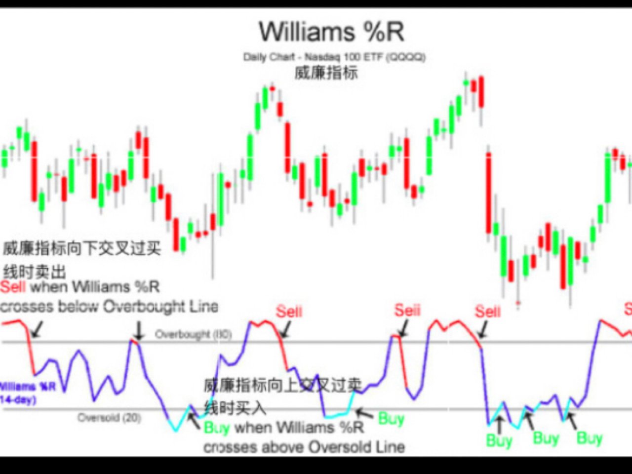【威廉干货7】股市中如何用William...