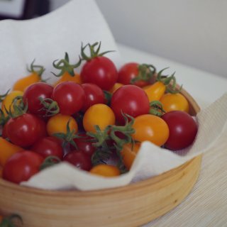 阳台菜园｜高产的番茄又收获一筐...