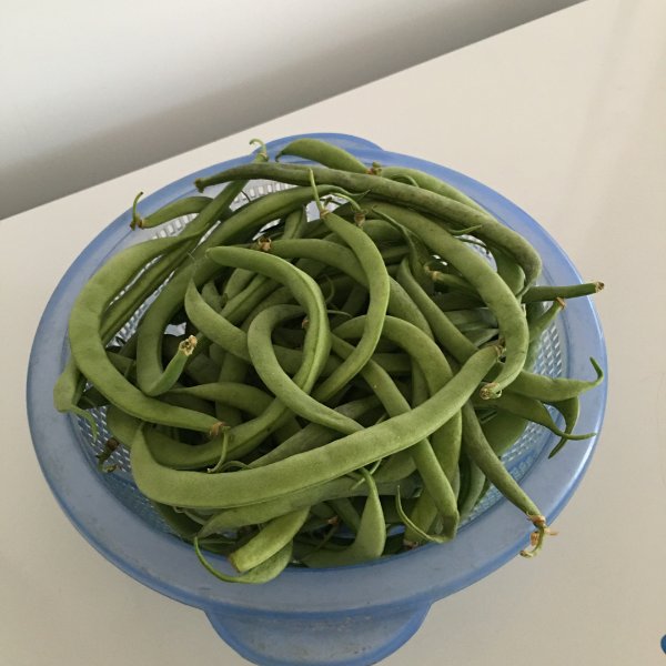 笔记图片