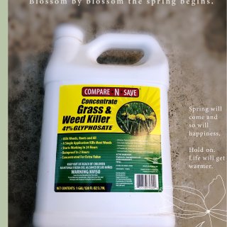 Compare-N-Save 32 oz. Grass And Weed Killer Glyphosate Concentrate-75323 - The Home Depot