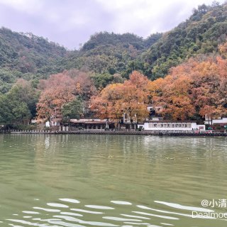 游览⛰️富春山居图实景地🏯富春江小三峡...