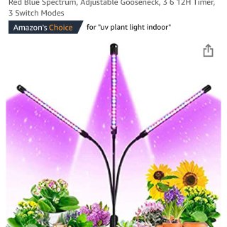 Grow Light, Ankace 60W Tri Head Timing 60 LED 5 Dimmable Levels Plant Grow Lights for Indoor Plants with Red Blue Spectrum, Adjustable Gooseneck, 3 6 12H Timer, 3 Switch Modes: Home Improvement