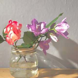 MasonJar做花瓶 后院鲜切玫瑰与蓝...