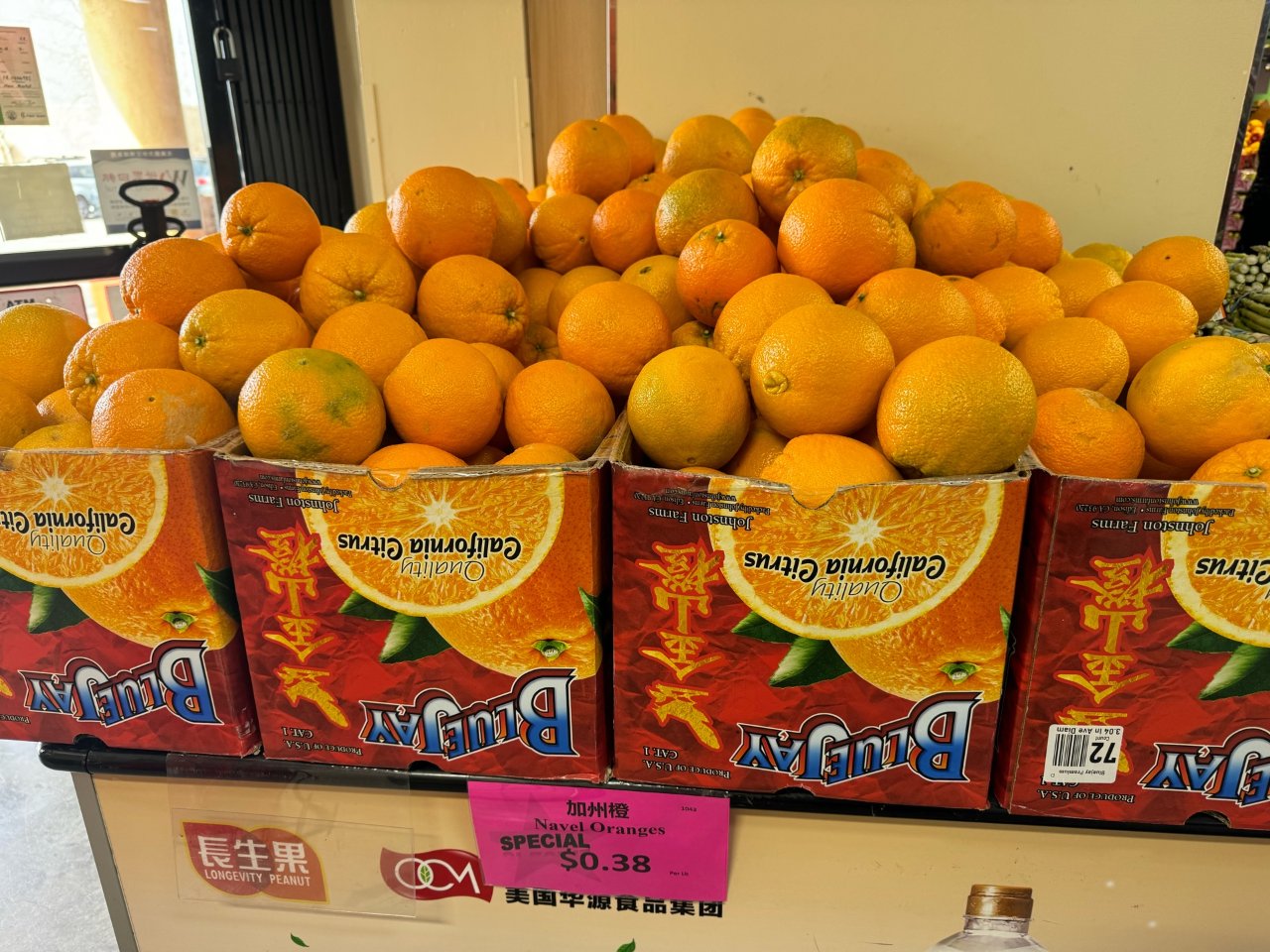 橙子季