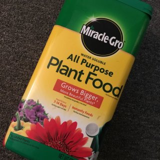 Miracle-Gro all purpose plant food