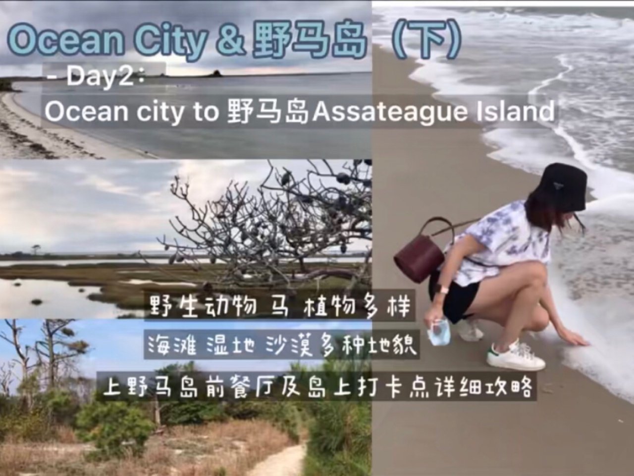 Ocean City&野马岛（下） 悠闲...
