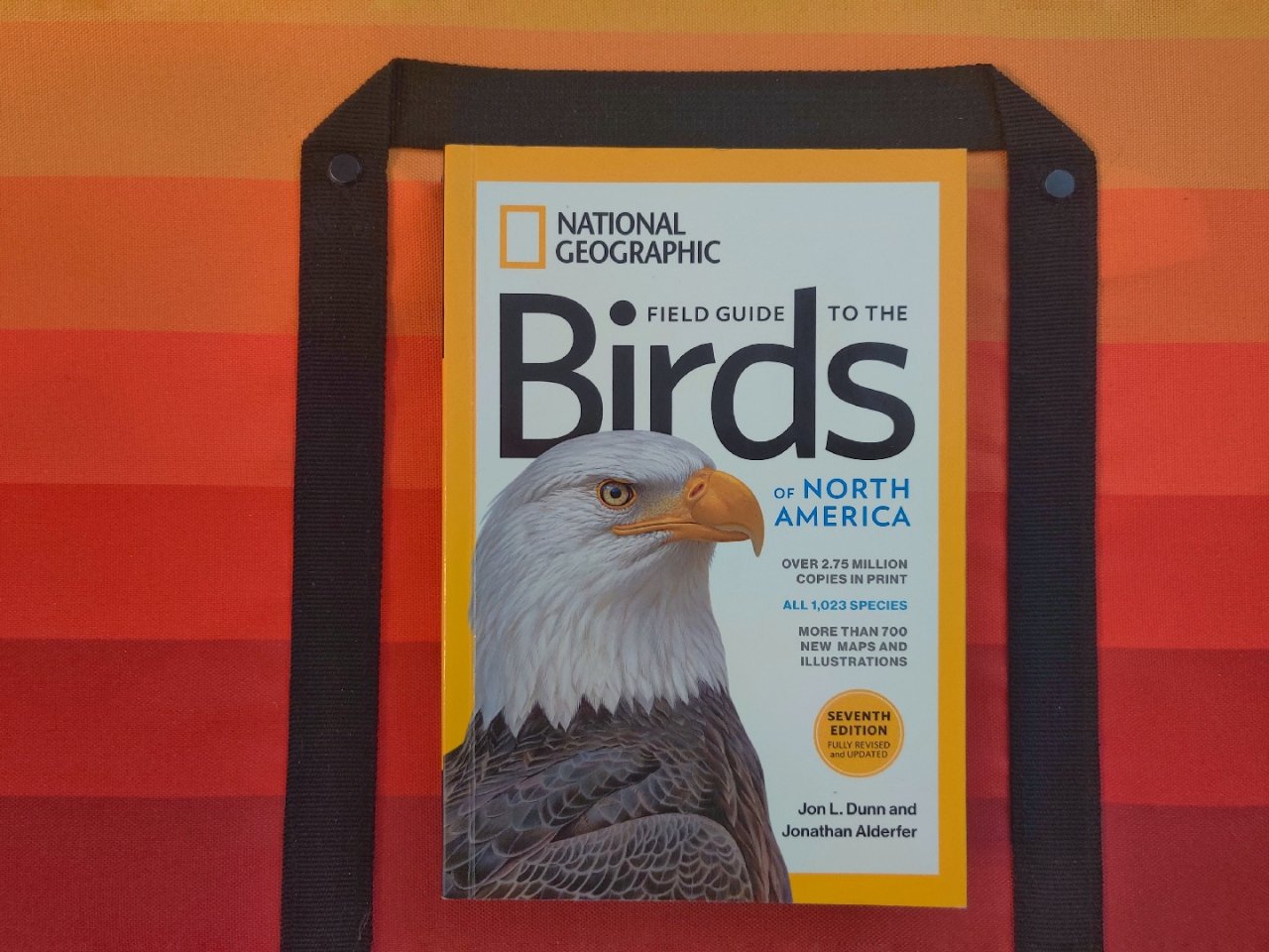 国家地理北美鸟类野外手册 National Geographic Field Guide to the Birds of North America, 7th Edition: Alderfer, Jonathan, Dunn, Jon L.: 9781426218354: Amazon.com: Books
