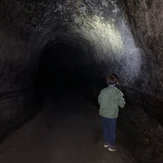 湾区➡️西雅图5｜原始地下岩浆洞穴管道...