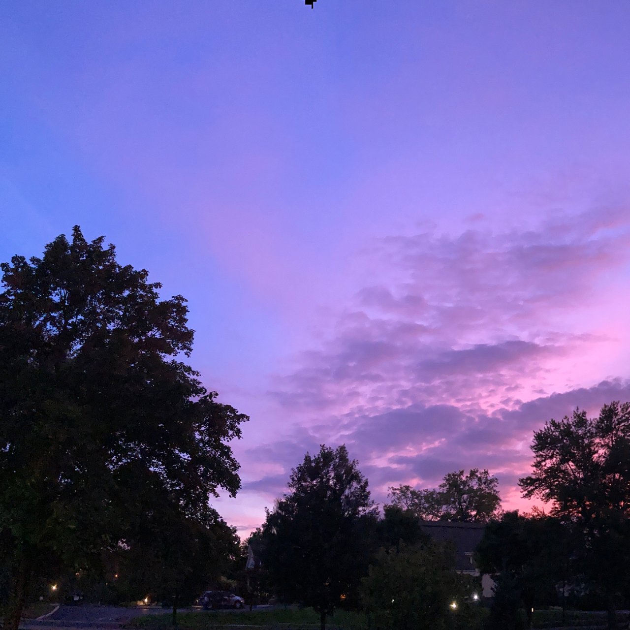 🌈紫色 属于傍晚🌆的天空...