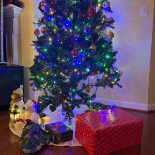 今年的圣诞树