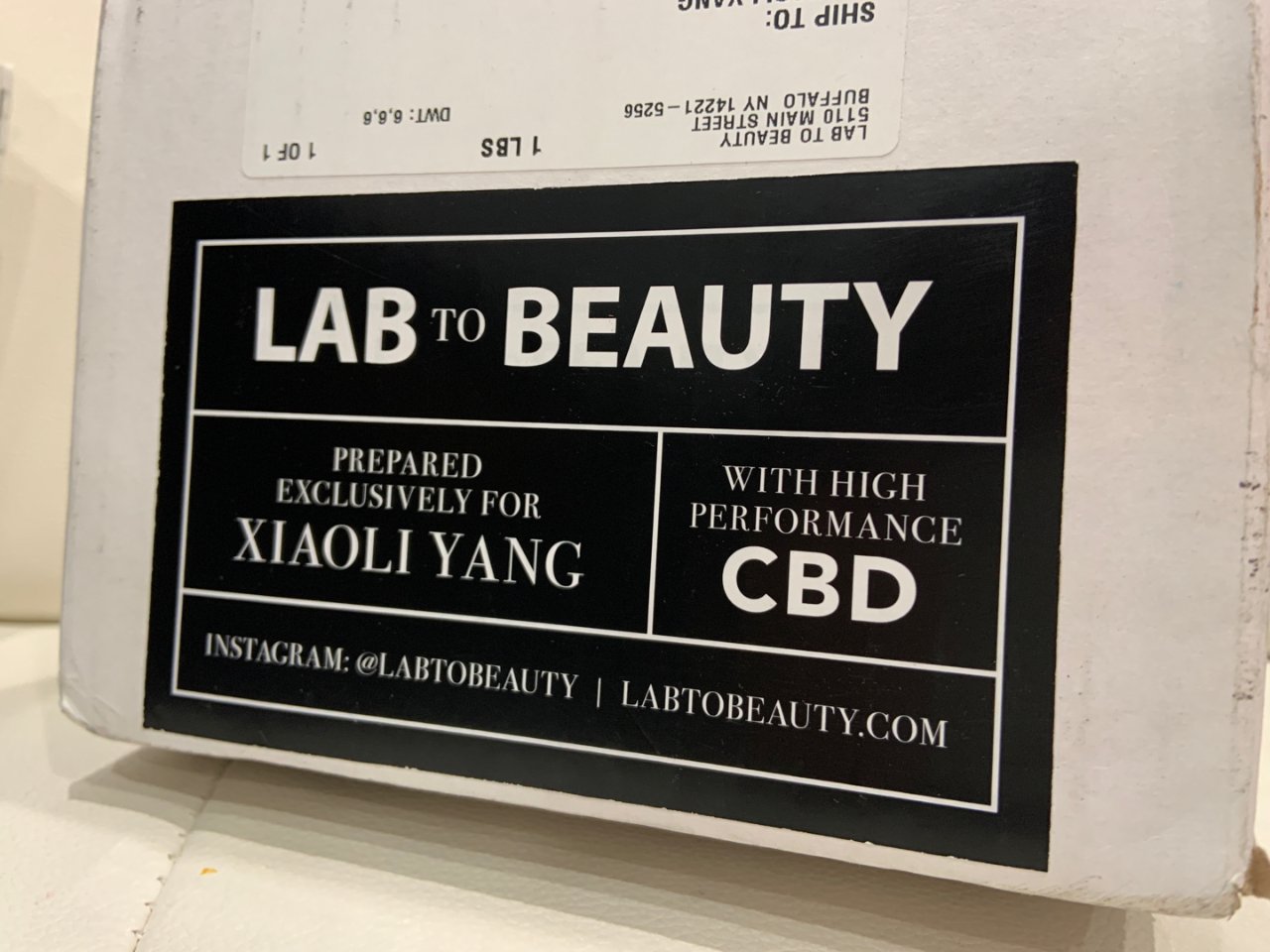 【Lab to Beauty】绿色治愈面...
