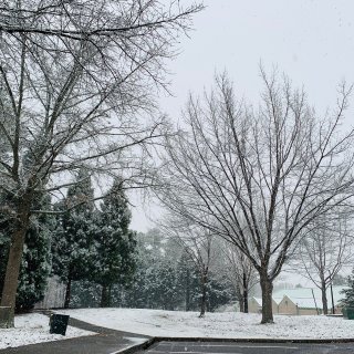 Burberry相机包，雪景里的美...