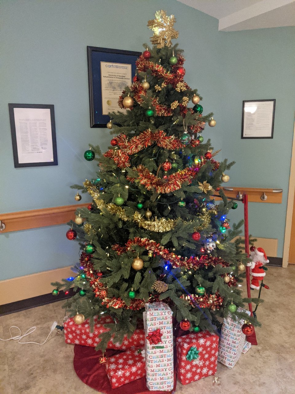 医院的圣诞树