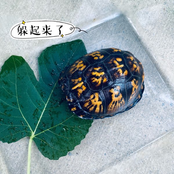 晒货图片