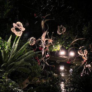 植物园奇妙夜🌿伦敦从来不缺奇怪可爱的展...