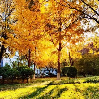【北京的秋，让人最怀念的季节】...