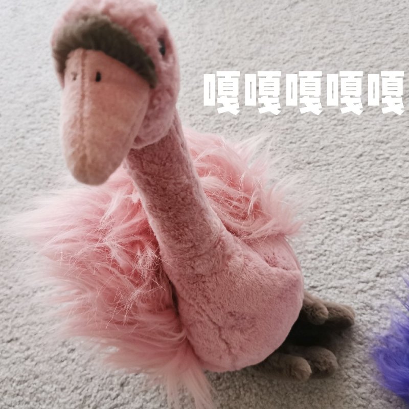 晒货图片