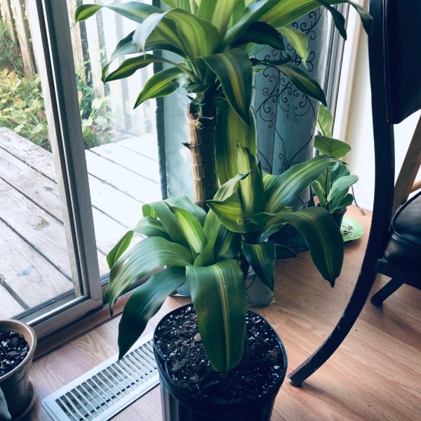 晒货图片