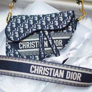 Cruise秀上的新款Dior Sadd...