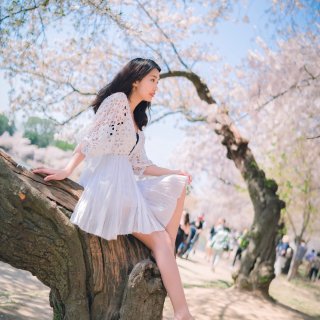 KOL2.0 ｜仙气白裙子和樱花🌸...