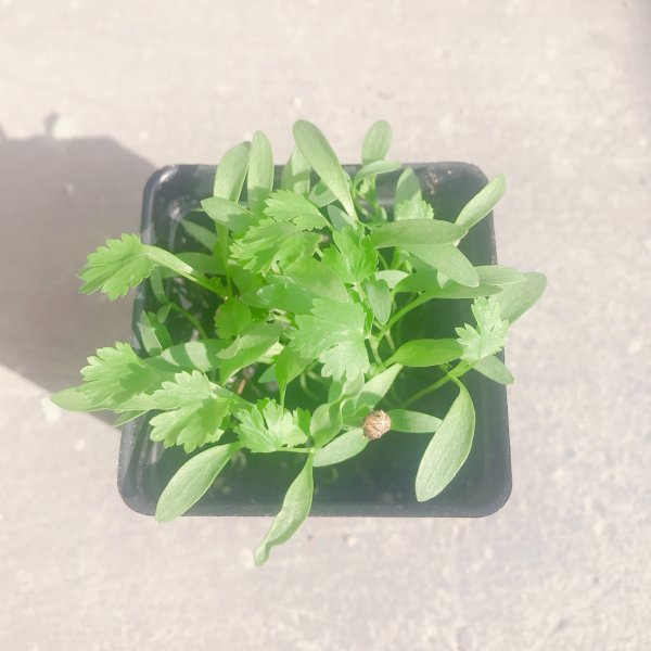 晒货图片