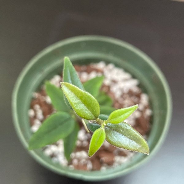 晒货图片