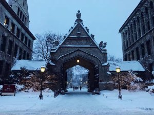 【金币1.6】雪景中的芝加哥哥特建筑就像童话故事里的城堡