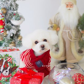 ✨给狗狗拍的圣诞🎄沙龙照✨...