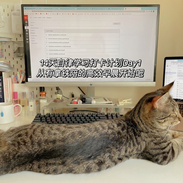 晒货图片