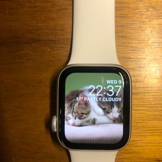 Apple Watch 5入手