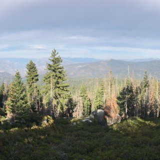 panoramic point