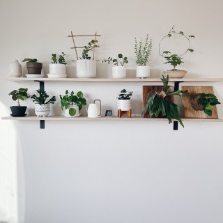 宅家DIY 做個木層架來放植物🪴...