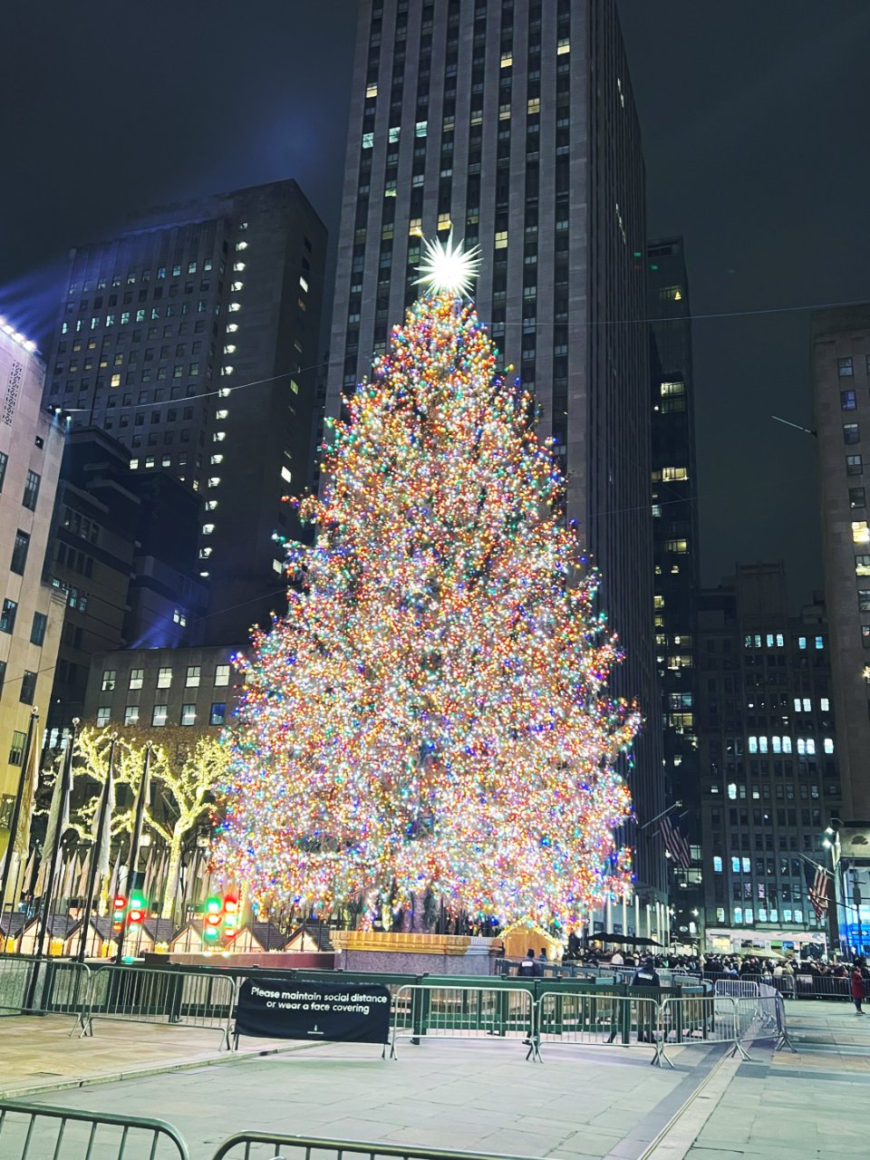 纽约洛克菲勒中心巨型圣诞树...