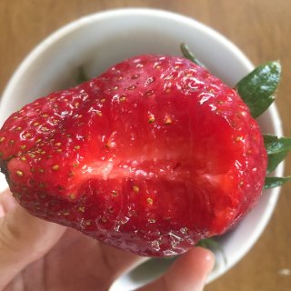 大草莓