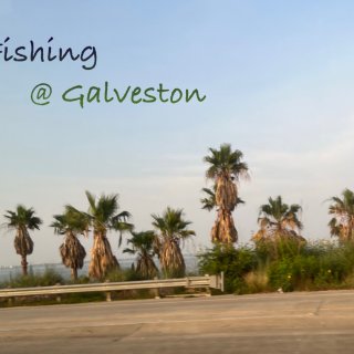 Galveston 钓鱼日记...