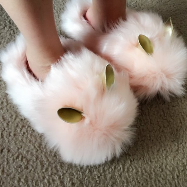 笔记图片