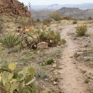 Phoenix周边hiking——Sup...