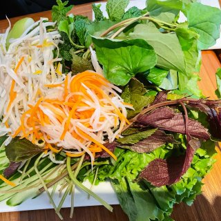 波士顿｜逛完动物园来个便宜美味的越南牛肉...